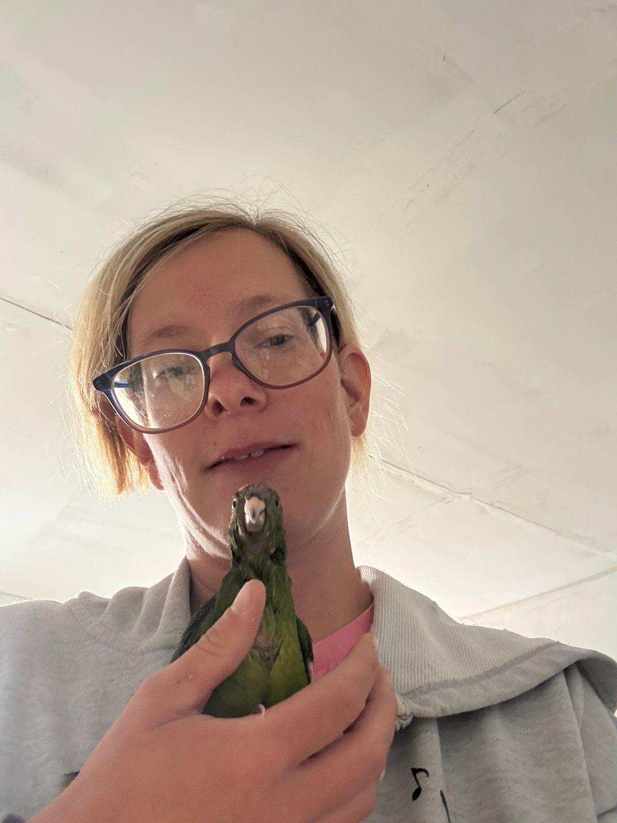 Jeun kakariki eam, Animaux & Accessoires, Juin, Sexe inconnu