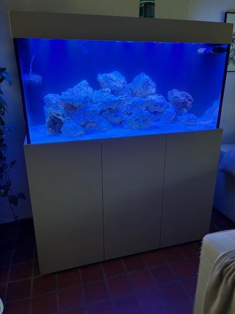 zee aquarium, Neuf, Aquarium vide, Enlèvement, Couvercle inclus