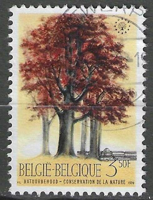 Belgie 1970 - Yvert/OBP 1526 - Europa - Natuur - 3,50 F (ST), Postzegels en Munten, Verzenden, Gestempeld, Gestempeld, Europa