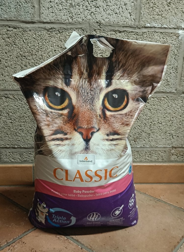 huisdieren, Enlèvement, Neuf, Chats