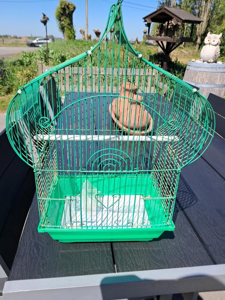 Cage à oiseaux, Animaux & Accessoires, Oiseaux | Cages & Volières, Enlèvement