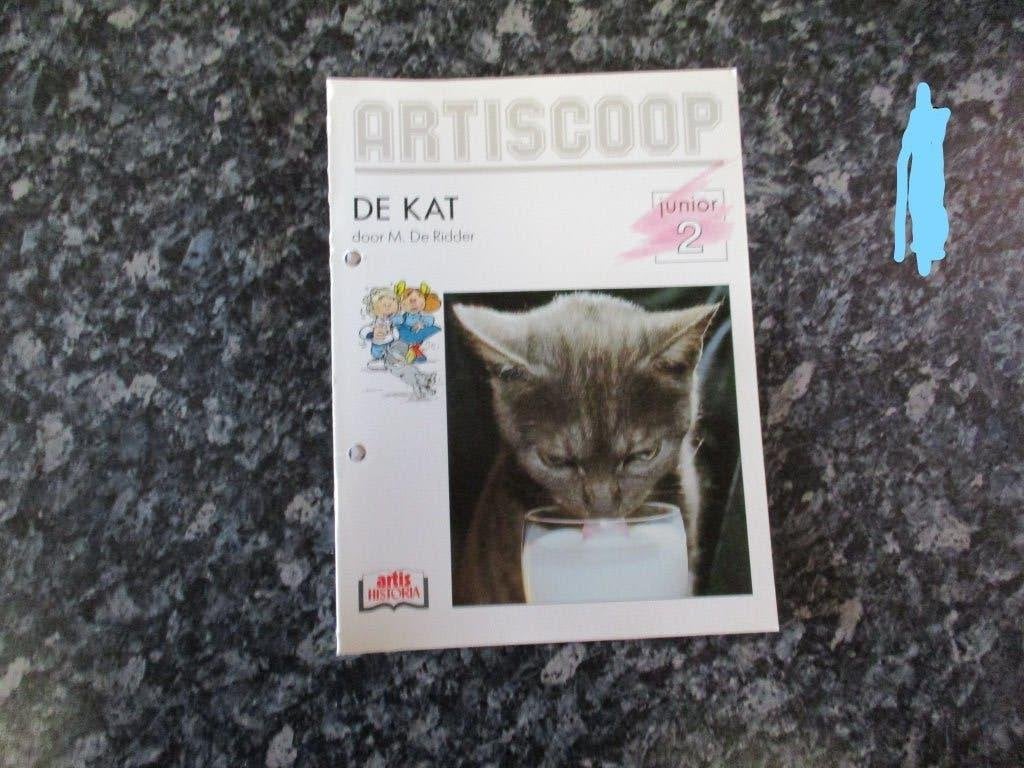 artiscoop junior de kat, Enlèvement ou Envoi, Comme neuf