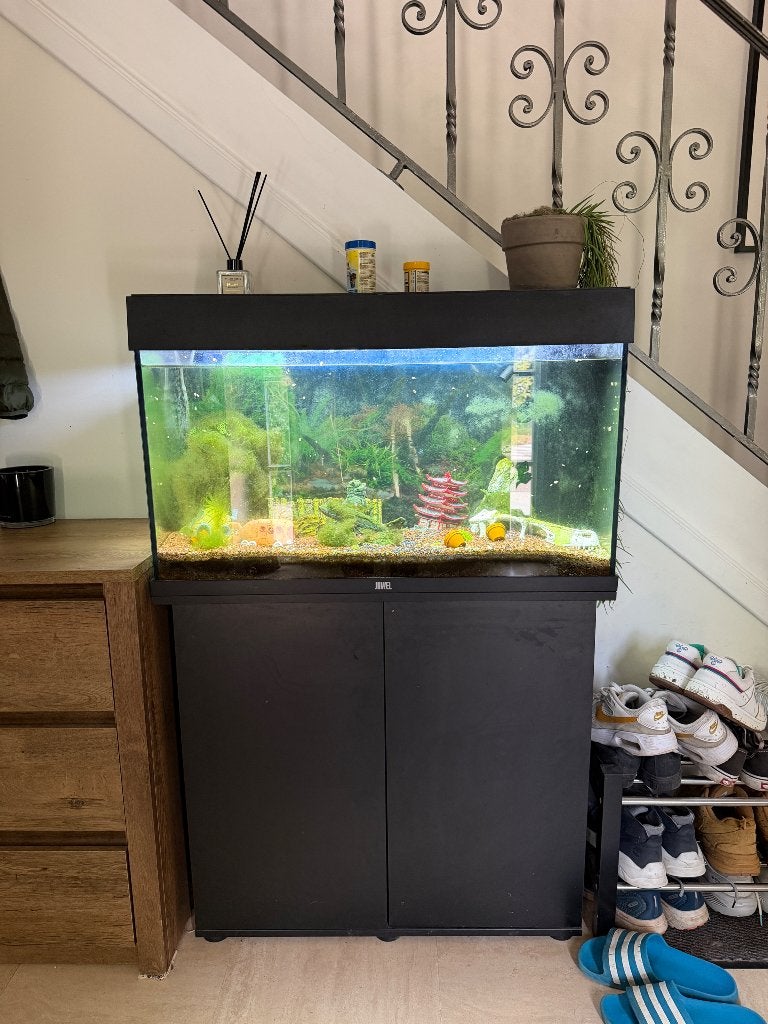 Aquarium Juwel Rio 125 met Kast, Dieren en Toebehoren, Gebruikt, Aquariummeubel, Juwel, Ophalen