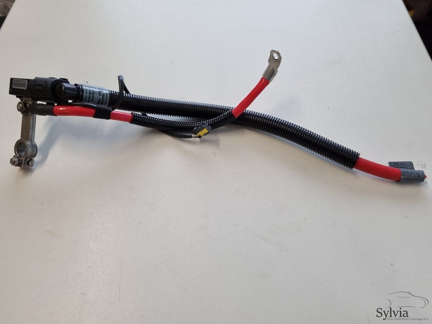 Kabelboom hoofdstroom pluskabel BMW X3 E83 met ongeval senso, -, Utilisé, -, -