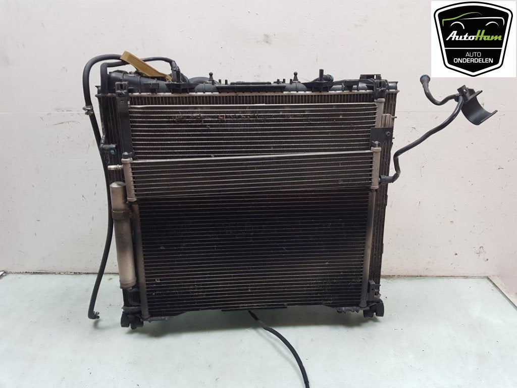 RADIATEUR COMPLEET Range Rover Sport (LW) (01-2013/03-2022), Dhr. J. Ham, Administratie@autoham.nl, Nijkerkerstraat 27a 27a
3821 CD  AMERSFOORT, NL