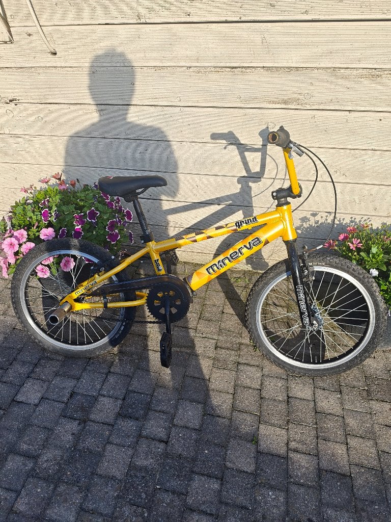 Vélo bmx, Vélos & Vélomoteurs, Vélos | BMX & Freestyle, Repose-pieds, Enlèvement, Utilisé, Acier