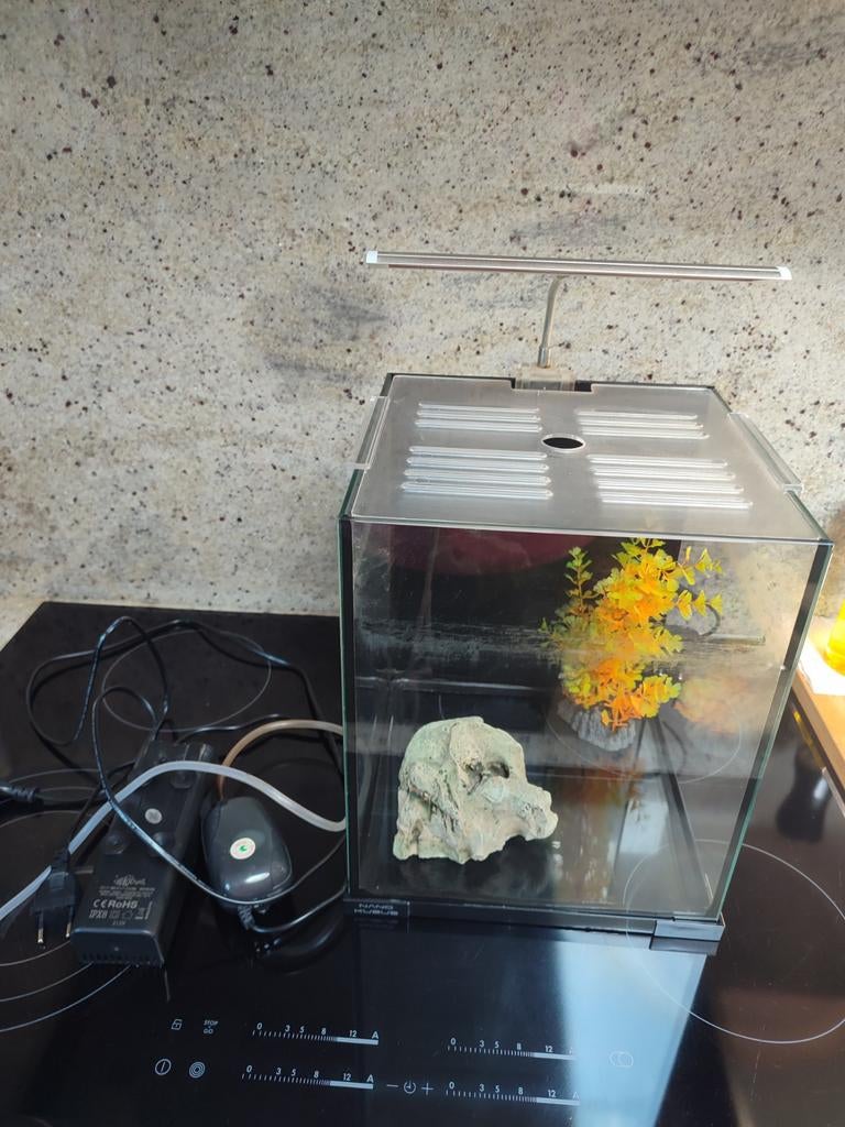 Aquarium nano kubus, Dieren en Toebehoren, Vissen | Aquaria en Toebehoren, Ophalen, Pomp