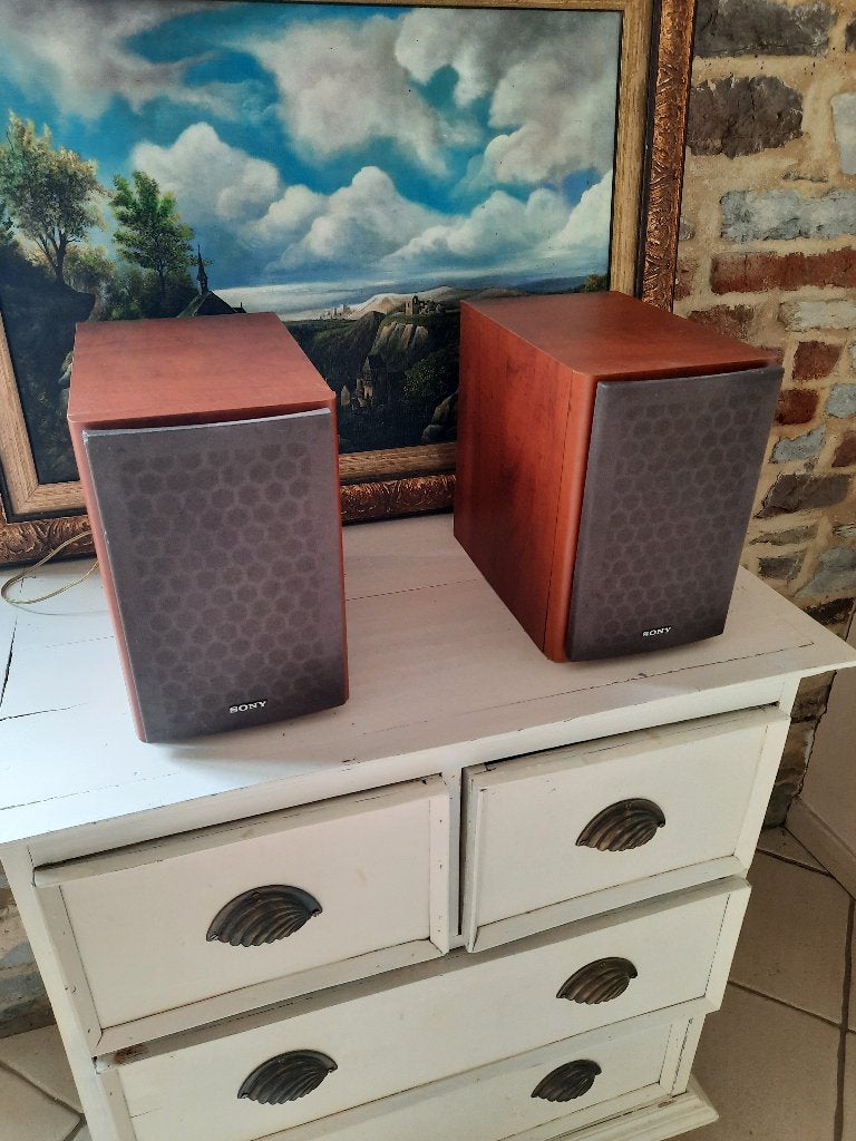 Paires de baffles Sony, TV, Hi-fi & Vidéo, Enceintes, Enlèvement, Utilisé, Sony