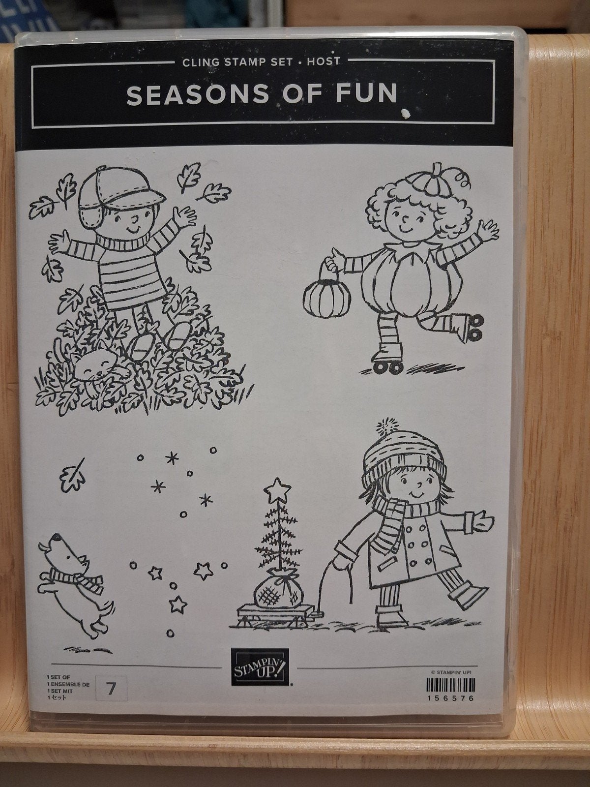Stampin Up - Stempelset Seasons of Fun, Ophalen