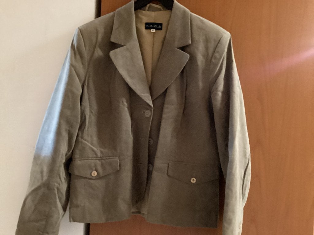 Nieuw jasje L/xl ( najaar), Kleding | Dames, Jasjes, Kostuums en Pakken, Beige, Maat 42/44 (L), Nieuw, Ophalen of Verzenden