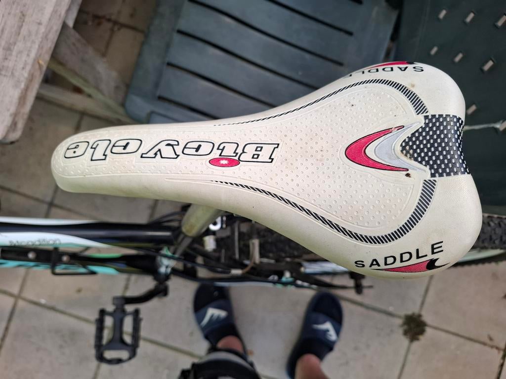 Mountain bike, Fietsen en Brommers, Ophalen