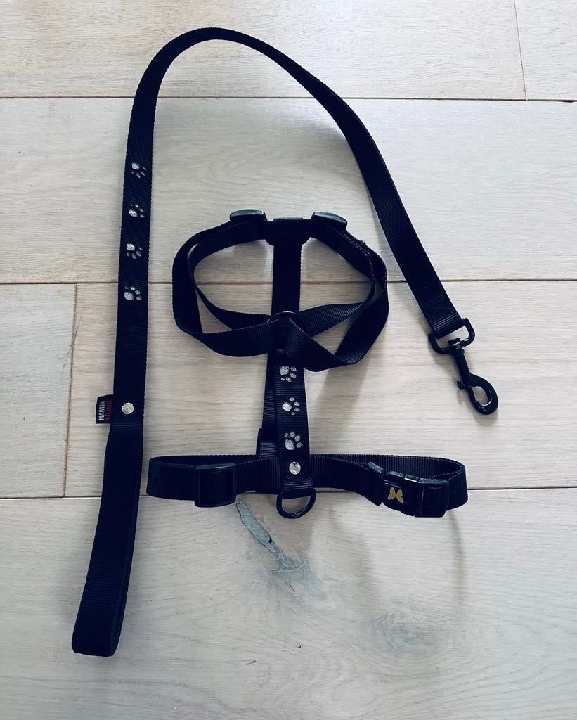 Ensemble harnais + laisse Martin Sellier, Enlèvement, Comme neuf, Laisse pour chien