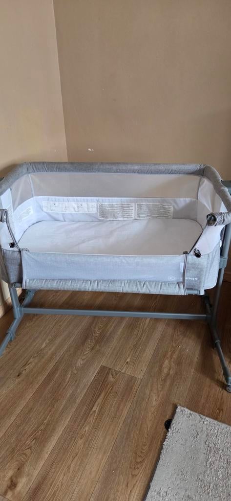 Cododo bébé