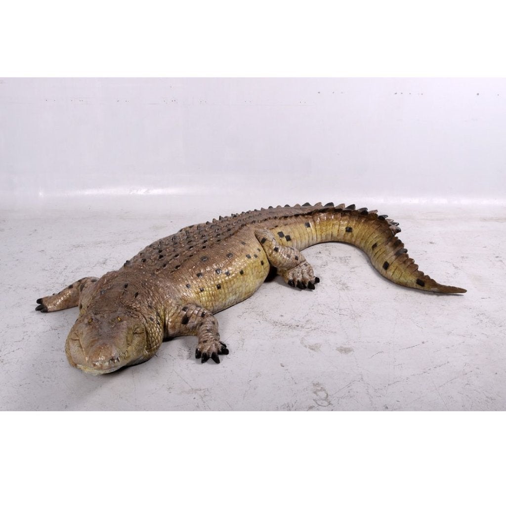 Krokodil met gesloten bek, krokodil 3,43 meter, Ophalen, Nieuw