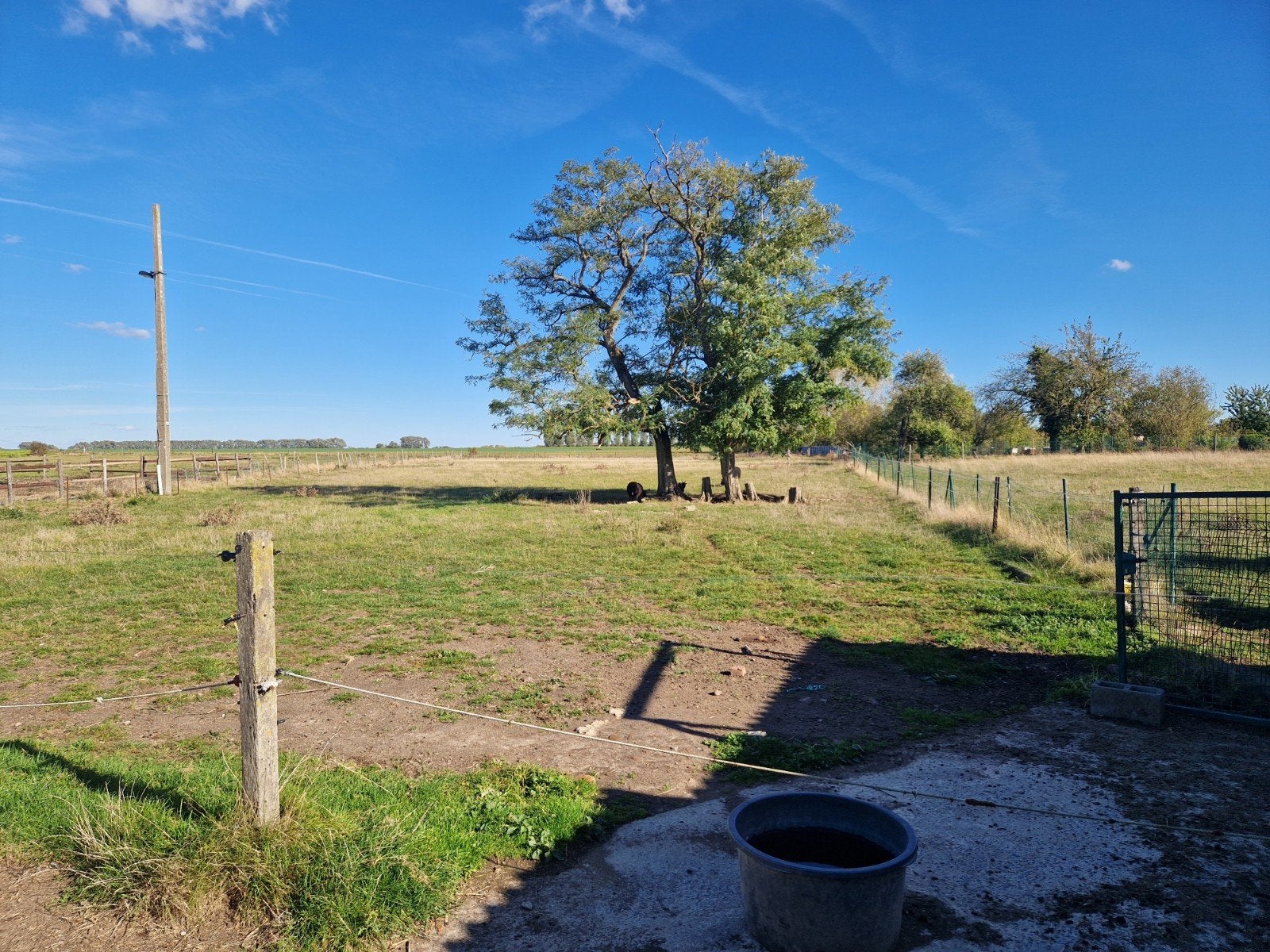 pension cheval Estinnes-au-Mont, Animaux & Accessoires