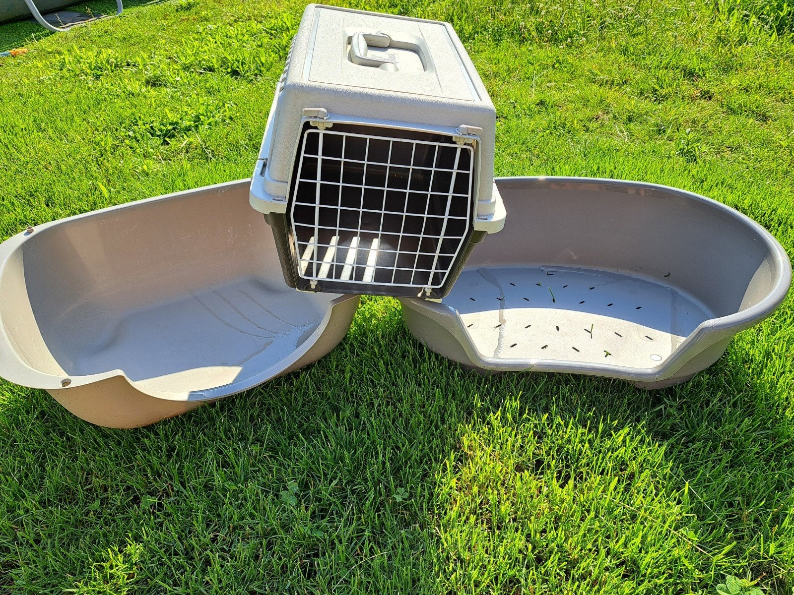 Katten uitzet, Ophalen