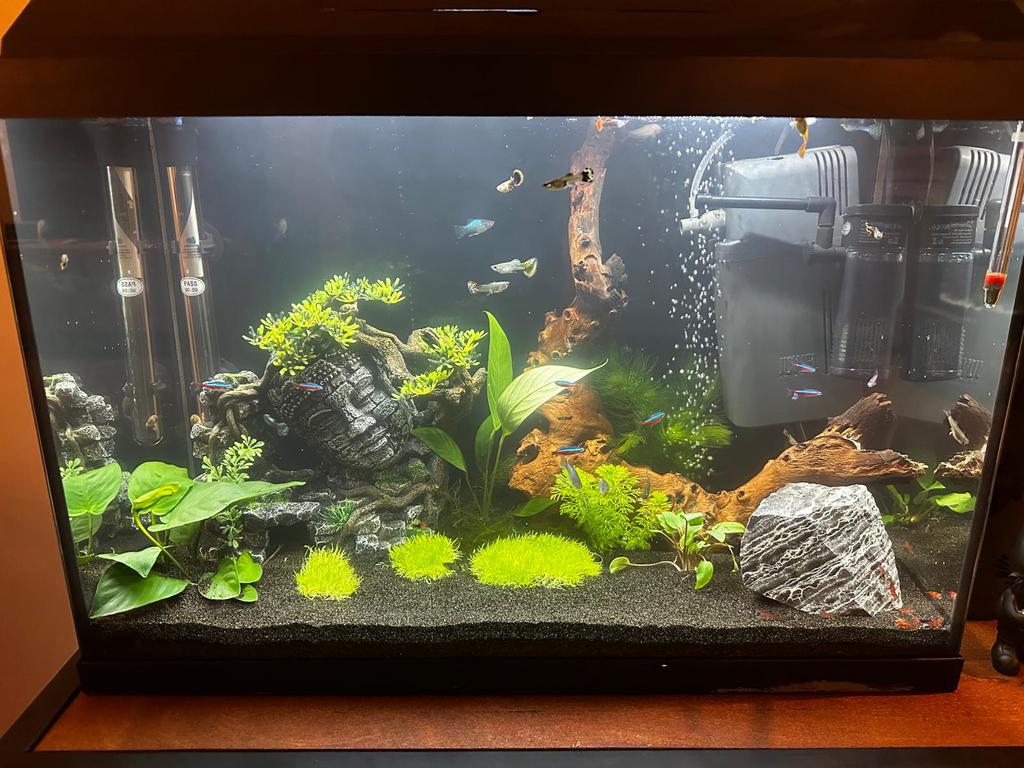 Aquarium, Ophalen, Verwarming, Zo goed als nieuw, Filter
