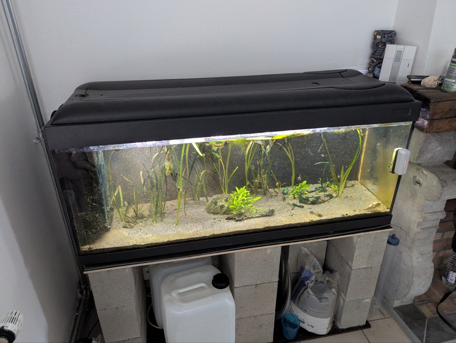 Aquarium 240l, Enlèvement