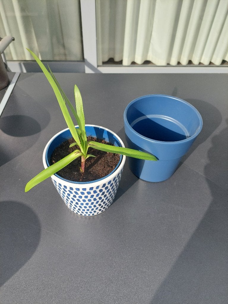 2 cache pots 1donker blauwe & 1 met blauwe vlakjes, Tuin en Terras, Bloempotten, Ophalen, Zo goed als nieuw