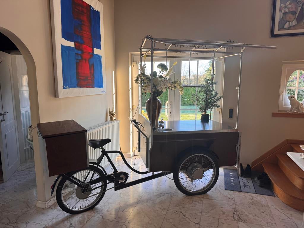 Vélo gastro professionnel – état neuf, prêt à travailler !, Enlèvement, Comme neuf, Électrique