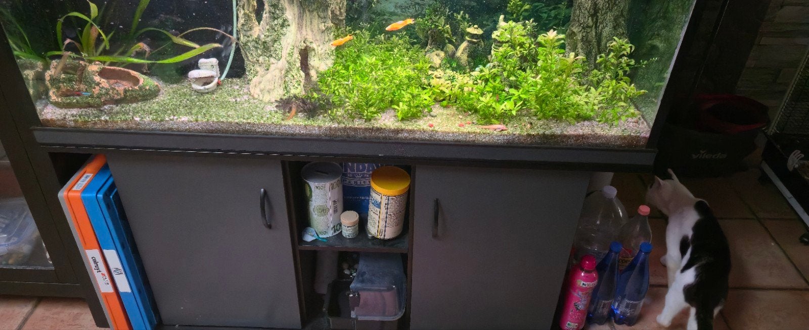 visbak met kast, Dieren en Toebehoren, Ophalen, Pomp, Gebruikt, Decoratie