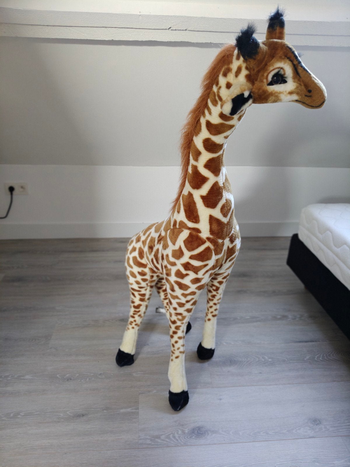 giraffe, Ophalen