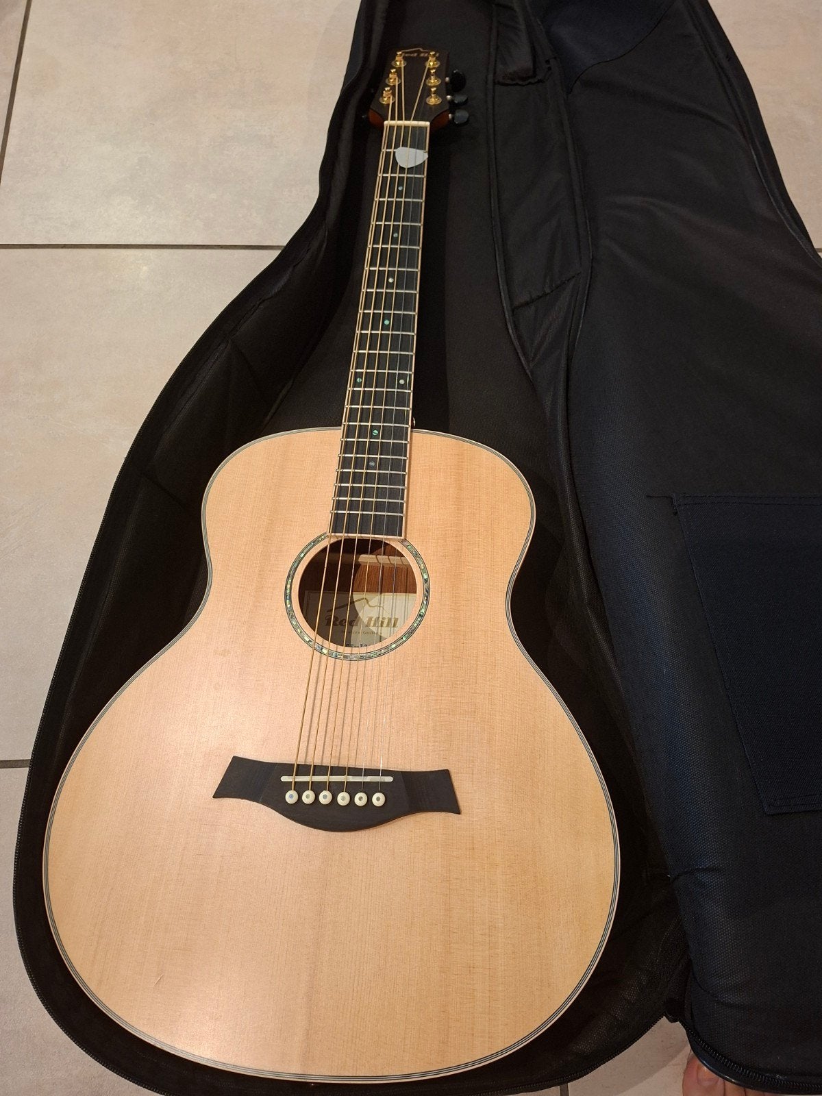 guitare, Musique & Instruments, Enlèvement, 12 cordes
