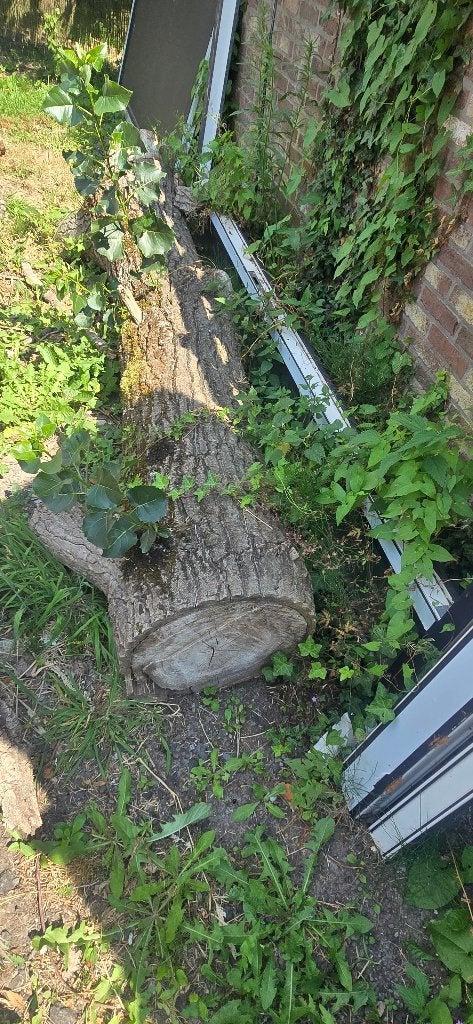 Brandhout, Tuin en Terras, Brandhout, 3 tot 6 m³, Ophalen