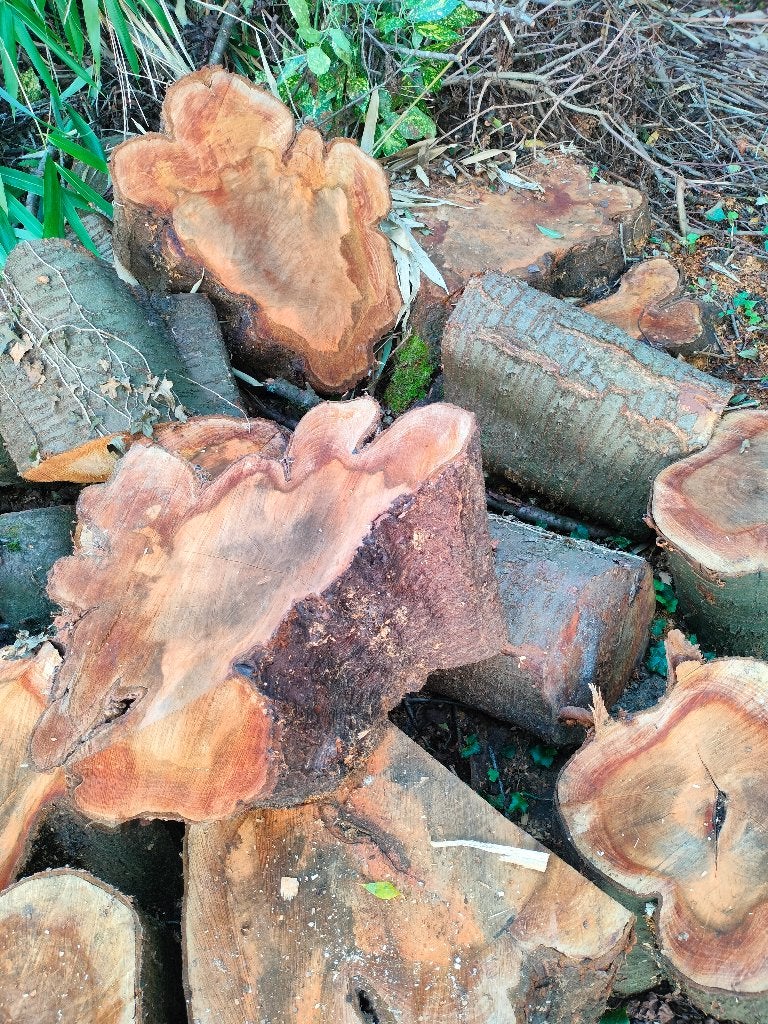 Kersenhout, Doe-het-zelf en Bouw, Ophalen, Overige typen, Nieuw, 50 mm of meer
