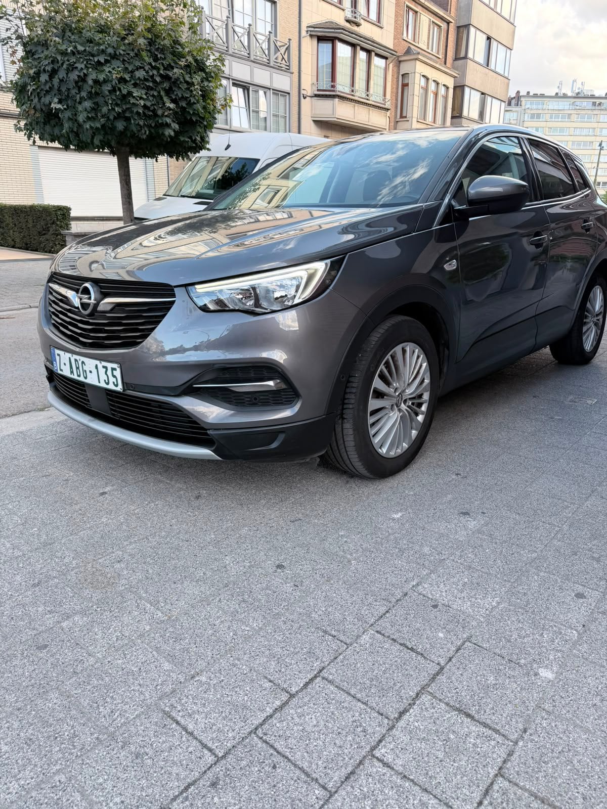 Opel grandland x automaat 63dkm 2018 euro6b benzine veloptie, Autos, Opel, Argent ou Gris, Achat, Euro 6, Carnet d'entretien