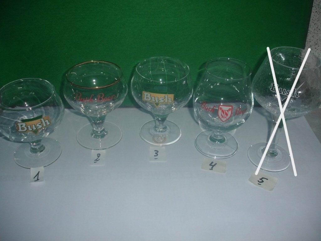 13 bierglazen van Bush Beer, 4 verschillende, Verzamelen, Ophalen of Verzenden, Zo goed als nieuw, Glas of Glazen, Overige merken