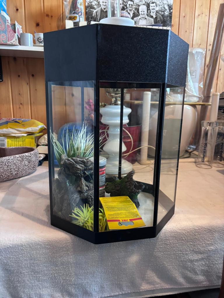 Kleine aquarium, Dieren en Toebehoren, Ophalen, Zo goed als nieuw