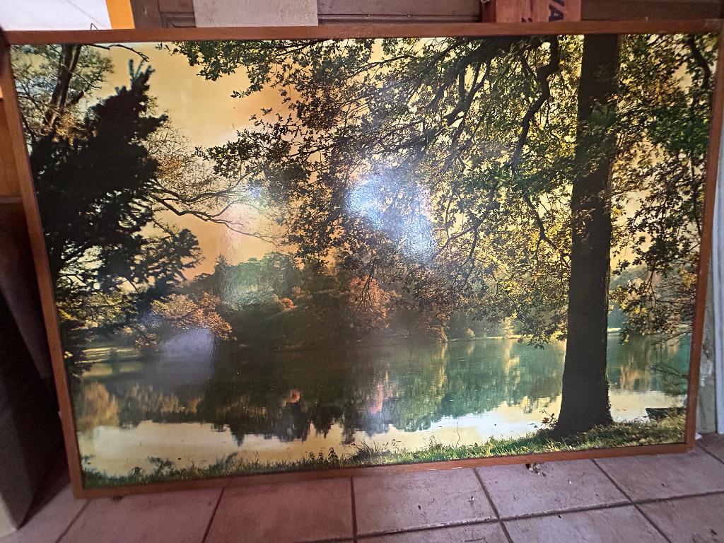 Grote fotokader vijver met boszicht, Ophalen