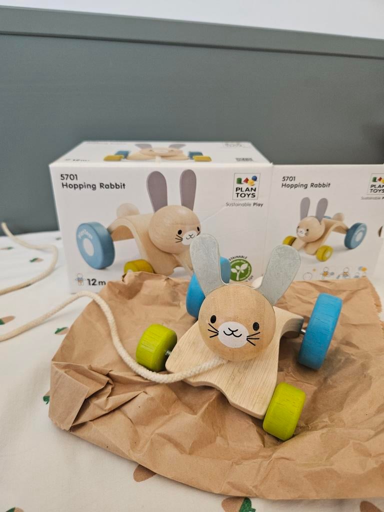 Hopping Rabbit Plantoys, Ophalen of Verzenden