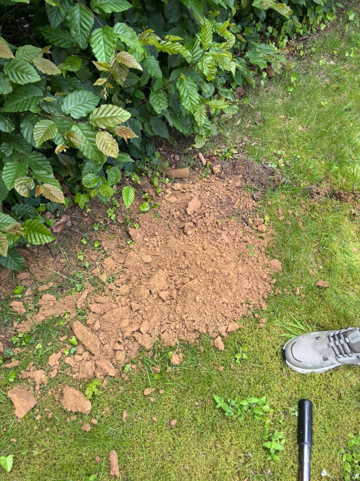 Land om Dion Valmont te geven, Tuin en Terras, Aarde en Mest, Ophalen, Tuinaarde