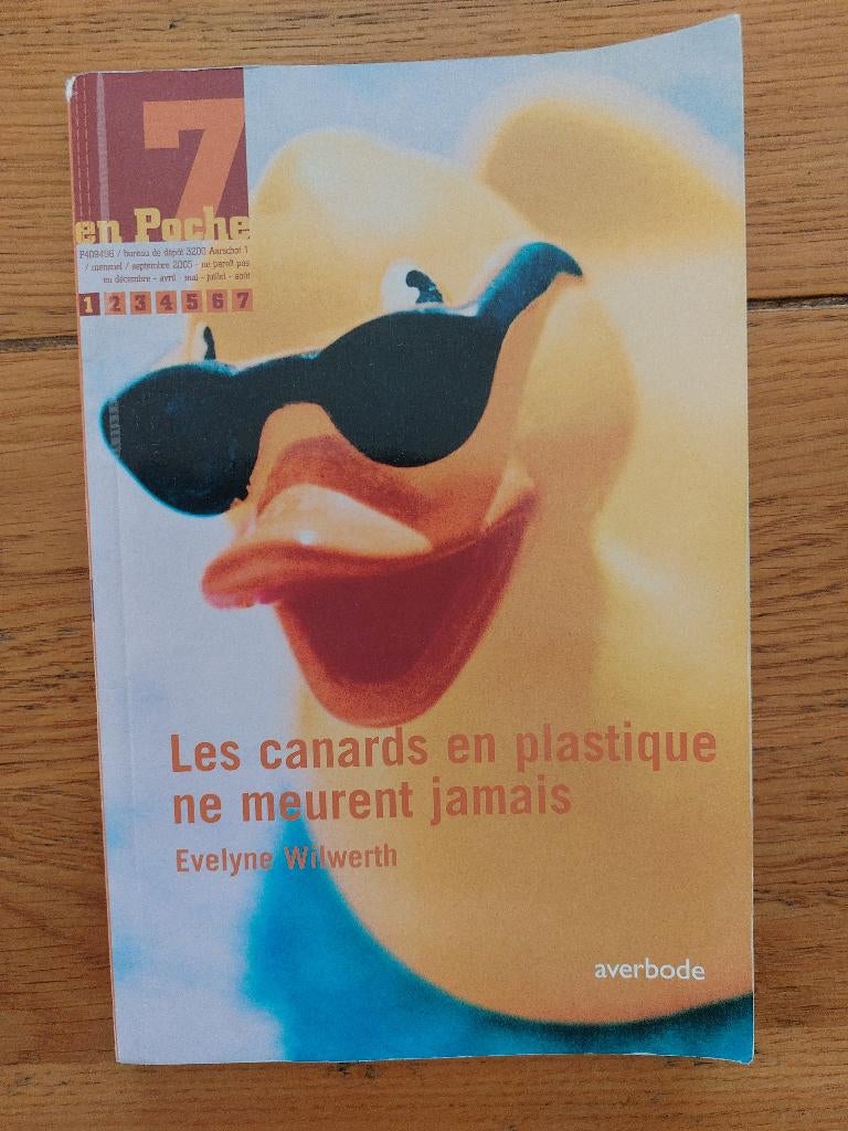 E. Wilwerth - les canards en plastique ne meurent jamais, Boeken, Kinderboeken | Jeugd | onder 10 jaar, Zo goed als nieuw, Fictie algemeen