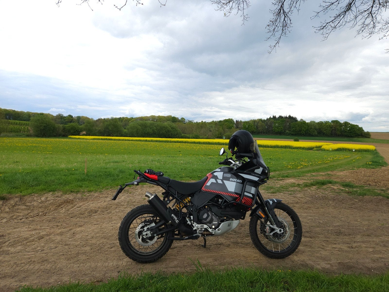 Ducati Desertx 2024, 2 cilinders, Motorrijbewijs A, Gebruikt, Particulier
