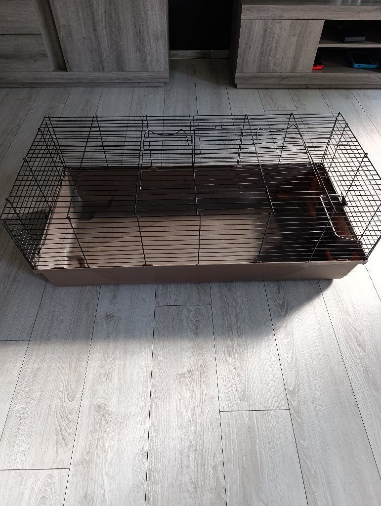 Kooi, Dieren en Toebehoren, Kooi, 110 cm of meer, Konijn, Nieuw