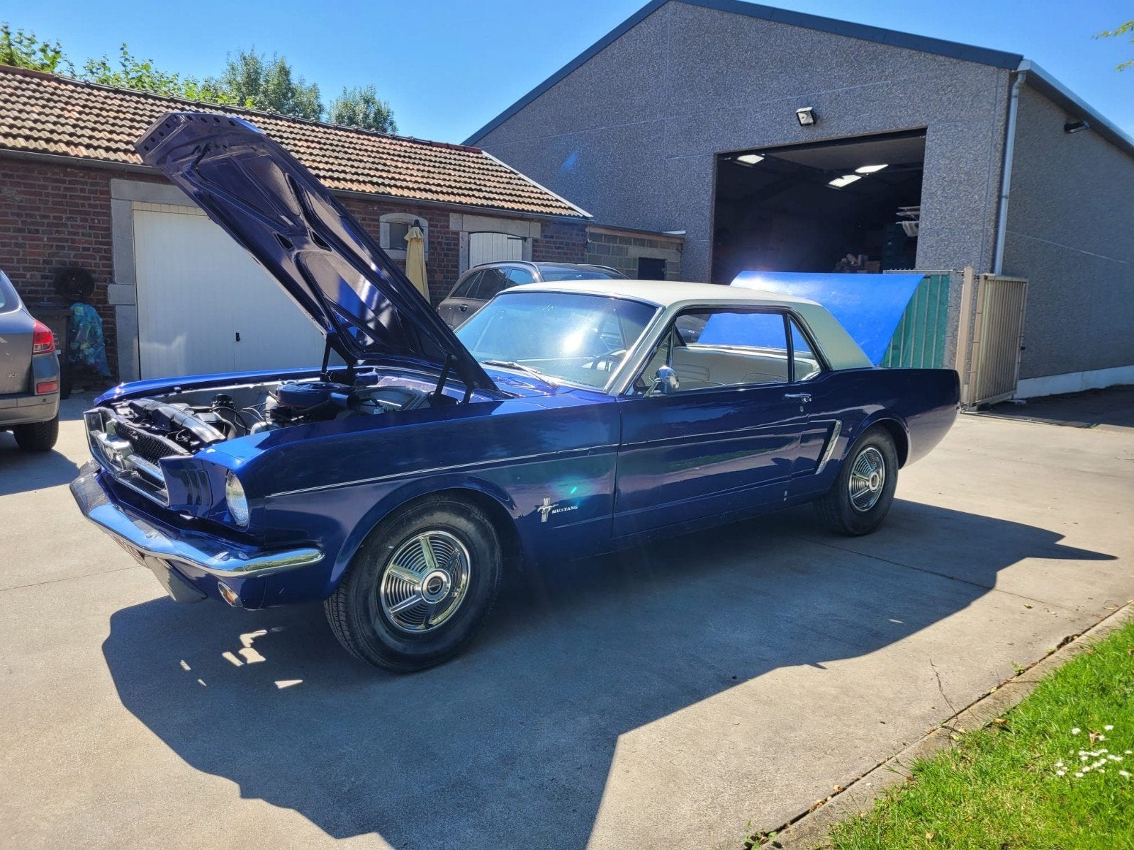 ford Mustang 65 3L3 6L manuelle, Auto's, Achterwielaandrijving, Blauw, Particulier, Mustang