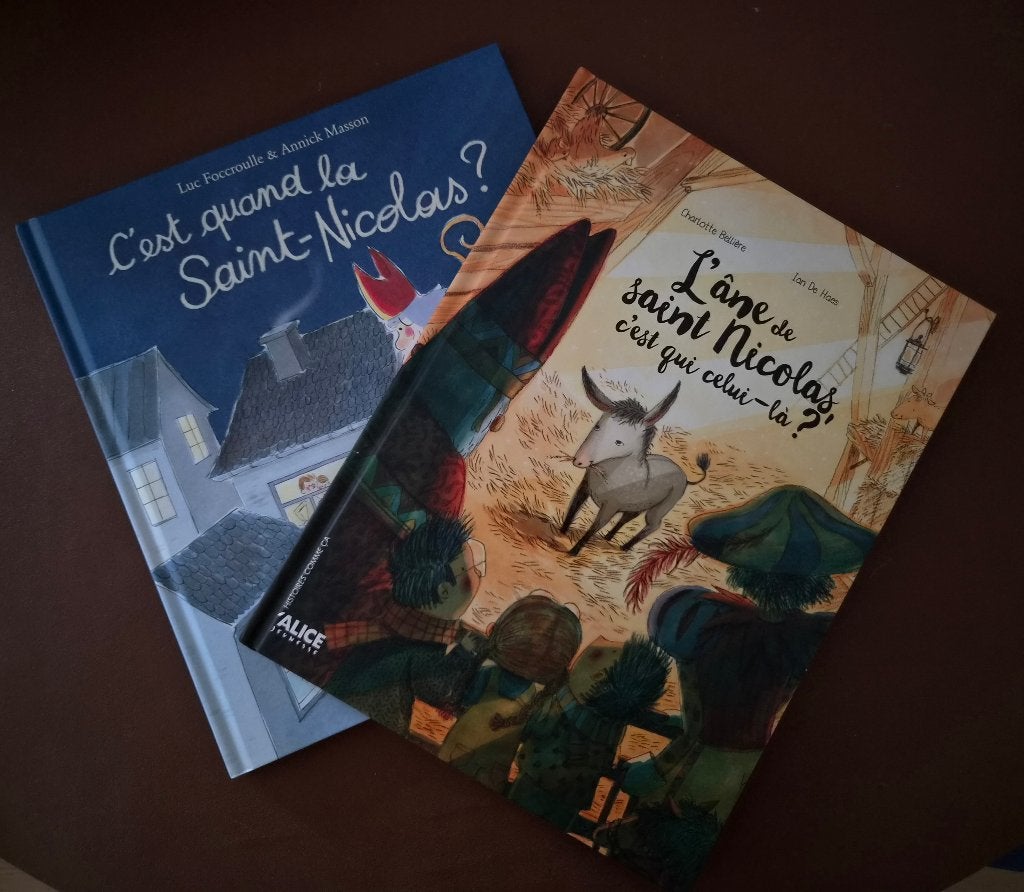 Lot 2 MAGNIFIQUES livres Saint-Nicolas ÉTAT NEUF !, Enlèvement, Comme neuf