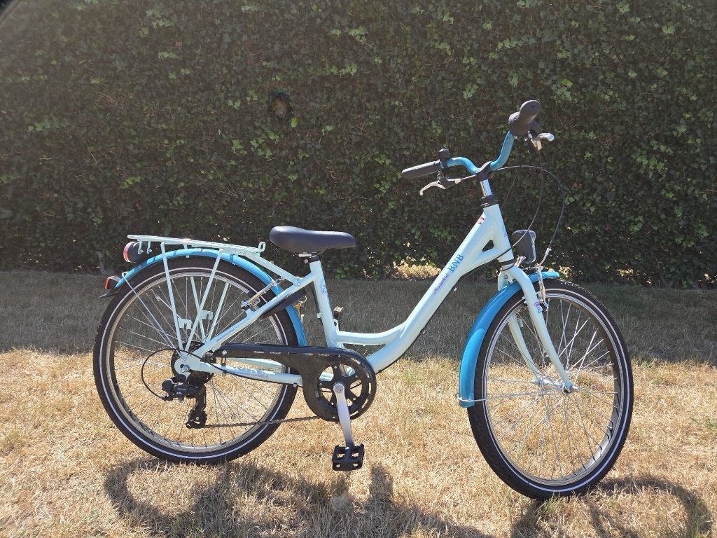 BNB meisjesfiets 24 inch, Fietsen en Brommers, Fietsen | Meisjes, Ophalen, Bnb flowerkid, Handrem, Gebruikt