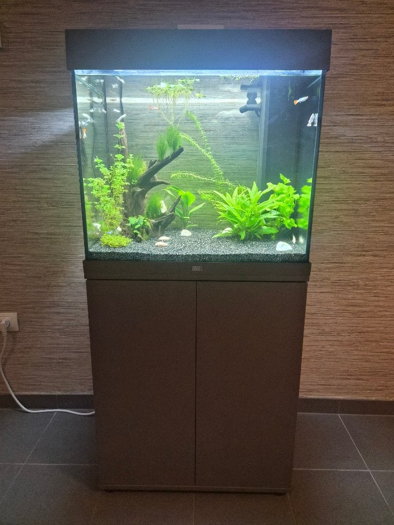 Juwel lido 120, Neuf, Aquarium d'eau douce rempli, Juwel, Enlèvement