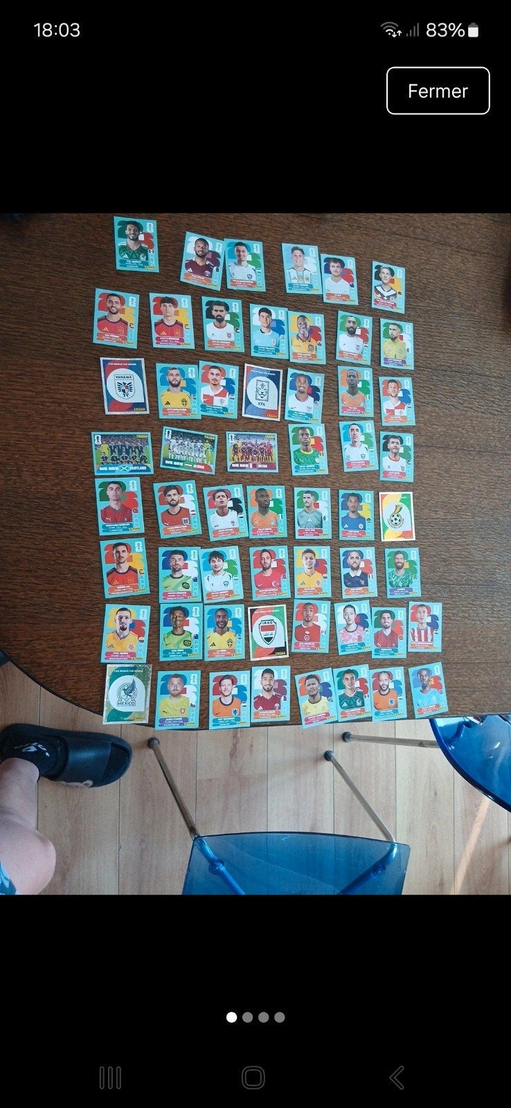 Ventes de cartes panini, Enlèvement ou Envoi