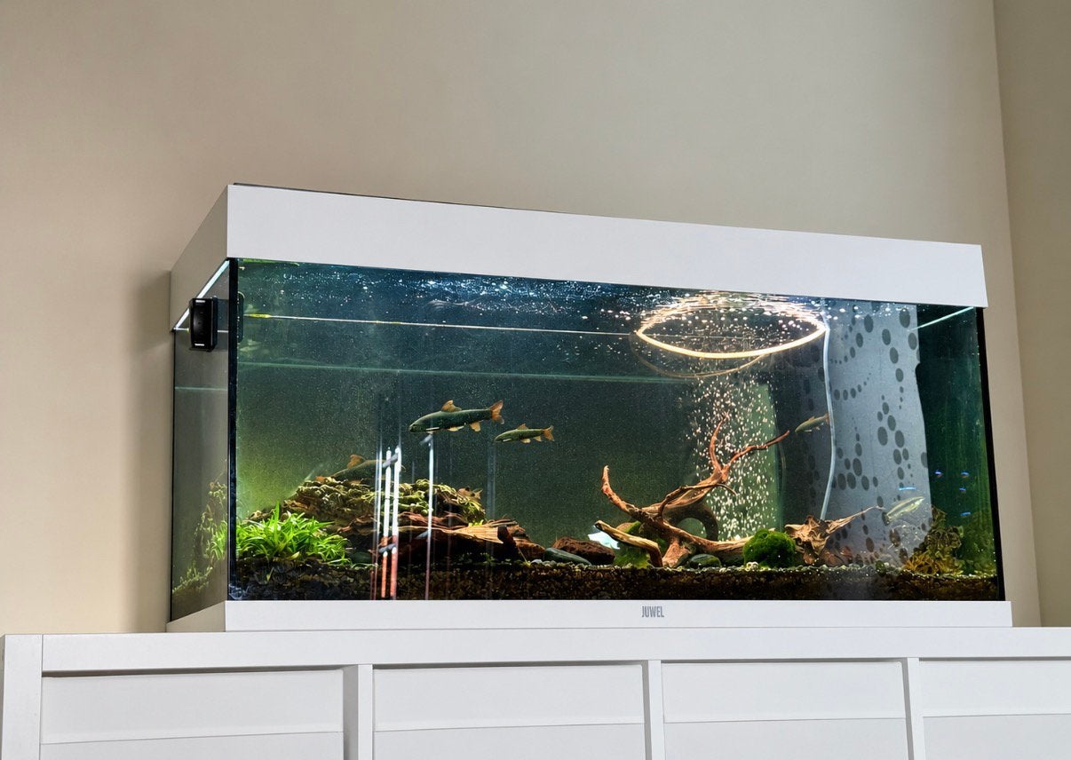 Aquarium Juwel 101x41x50 cm - 180 L, Dieren en Toebehoren, Ophalen, Zo goed als nieuw, Juwel