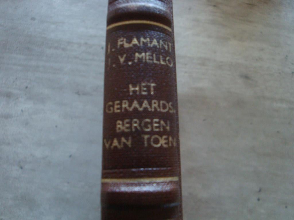 HET GERAARDSBERGEN VAN TOEN, Boeken, Geschiedenis | Stad en Regio, Ophalen of Verzenden, Gelezen