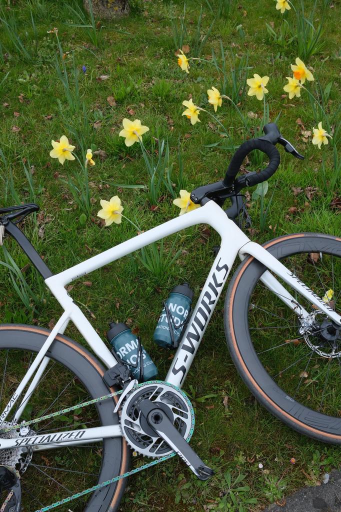 Specialized S-works Tarmac SL6 - maat 58, Enlèvement, Comme neuf, Carbone