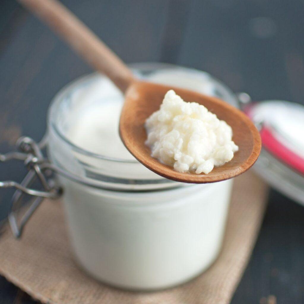 melk kefir korrels yoghurt bloemetjes, Diversen, Ophalen