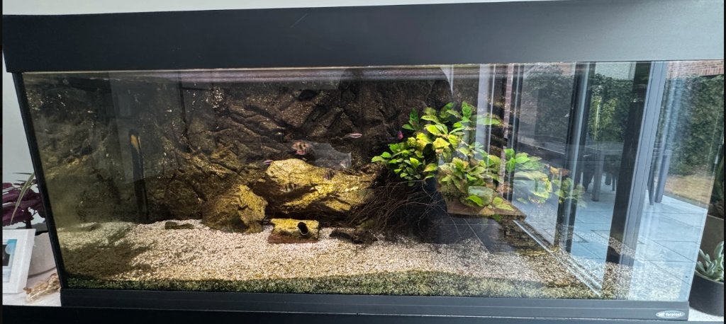 Aquarium, Ophalen, Gebruikt, Overige merken, Gevuld zoetwateraquarium
