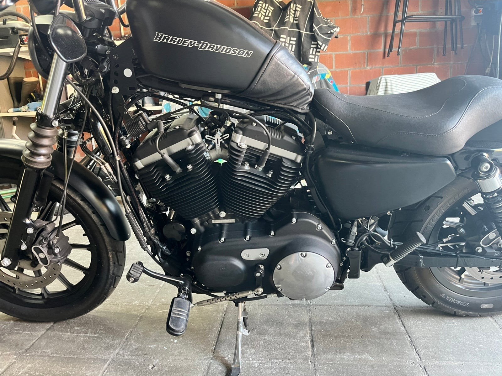 Harley Davidson 883 Iron, Motoren, Motoren | Harley-Davidson, 883 cc, Particulier, Meer dan 35 kW