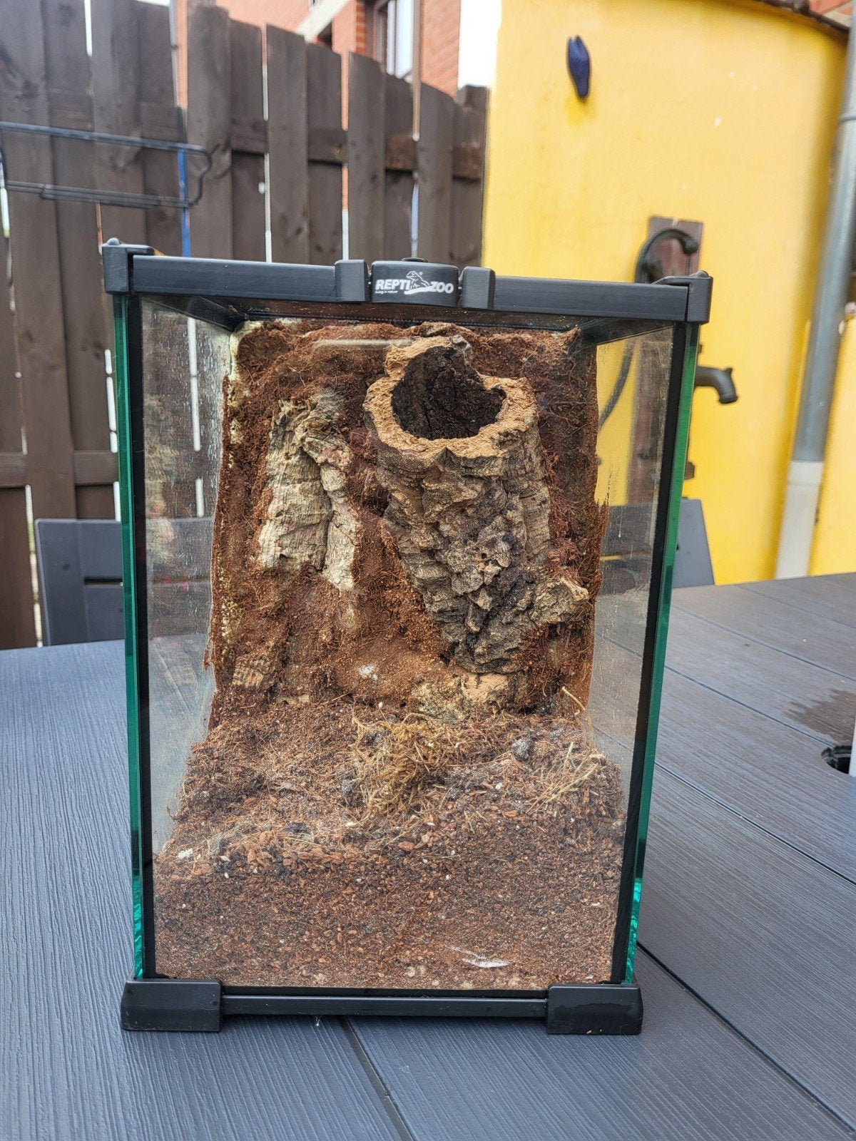 terrarium, Animaux & Accessoires, Enlèvement